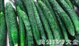 梦见吃地里的瓜,瓜田里的美味诱惑