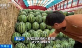 成圣吃瓜,揭秘娱乐圈背后的那些事儿