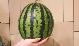 杀瓜中的吃瓜,揭秘网络舆论场的暗流涌动