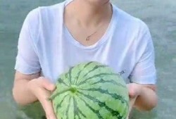 在水里吃瓜看书,夏日悠闲生活剪影