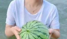 在水里吃瓜看书,夏日悠闲生活剪影