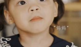 吃瓜群众小猪妹,吃瓜群众的趣味生活