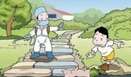 吃瓜落和顶缸,揭秘娱乐圈背后的真相与较量