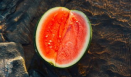 沈承吃瓜,揭秘娱乐圈背后的那些事儿