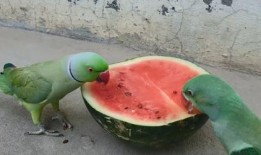 吃瓜了喂,揭秘娱乐圈那些不为人知的幕后故事