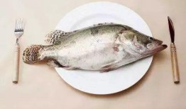 鱼瓜怀孕可以吃,营养美味两不误