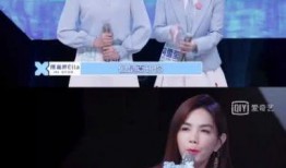 佳丽吃瓜选手小说,揭秘娱乐圈背后的秘密风云