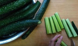 像黄瓜的瓜怎么吃,探索黄瓜的独特吃法