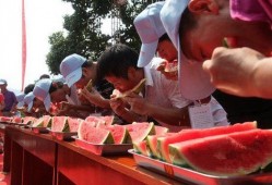 吃瓜大赛感言,欢乐盛宴中的趣味与思考