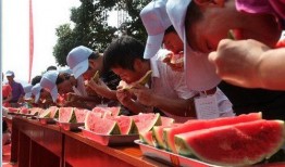 吃瓜大赛感言,欢乐盛宴中的趣味与思考