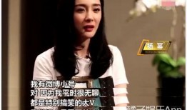 明星吃瓜群众来袭小说,吃瓜群众来袭，揭秘娱乐圈风云