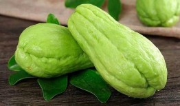 佛手瓜这么吃,探索健康美味的烹饪新境界