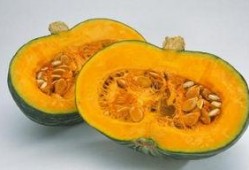 发热可以吃方瓜吗,发热期间适宜食用方瓜的饮食建议