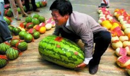 深圳高尔夫圈子吃瓜,揭秘吃瓜背后的精彩故事