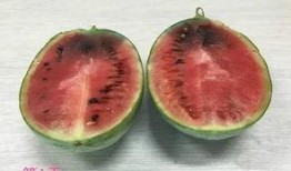 打针后可吃瓜否,能吃瓜吗？揭秘注射后饮食禁忌