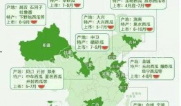 绿洲时间吃瓜地点,探寻吃瓜地点的奇妙之旅