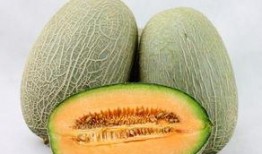 吃哈密瓜会舌头麻