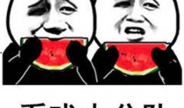 职业吃瓜表情包,揭秘网络表情包背后的趣味人生