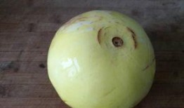 卖瓜人吃瓜皱,揭秘瓜农自食其果的酸甜苦辣