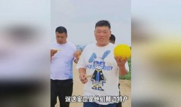 给兄弟送花吃瓜,花瓜共享，温馨时光