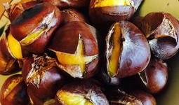 全洛阳吃瓜,一场味蕾与文化的碰撞之旅