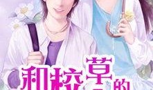 吃瓜校草小说,校草的甜蜜诱惑