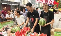 吃瓜群众与记者,揭秘娱乐圈幕后真相