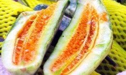 热门吃瓜首页,盘点娱乐圈最新热点事件