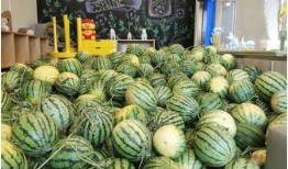 全城吃瓜小说,揭秘都市背后的秘密风云