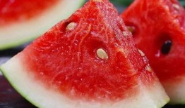 莆田花店吃瓜事件,一场引发热议的误会风波