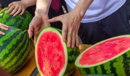 成圣吃瓜,揭秘娱乐圈背后的那些事儿