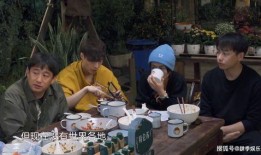 吃瓜大观众,吃瓜群众视角下的娱乐圈风云录