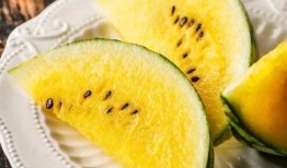 瓜瓜吃瓜微课,揭秘网络热点背后的真相与趣味