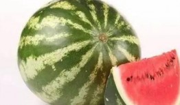 用西瓜吃哈密瓜,一场甜蜜的味蕾之旅