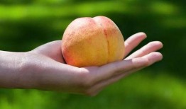 吃瓜 桃,揭秘夏日消暑新宠