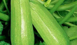 沈承吃瓜,揭秘娱乐圈背后的那些事儿