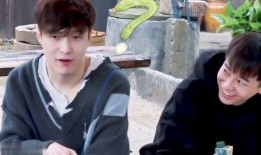 吃瓜磕cp.,揭秘吃瓜磕cp的甜蜜瞬间