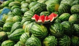 新华城连续吃瓜,连续吃瓜，揭秘幕后真相