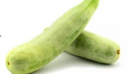 吃羊角脆瓜,夏日消暑佳品，口感脆爽回味无穷