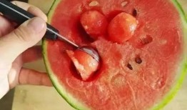 什么瓜不用勺子吃,探索无需勺子享用的独特瓜类美食