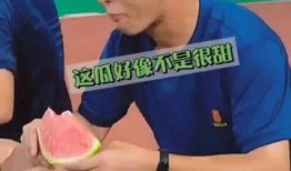 吃瓜遇见侯旭,揭秘娱乐圈幕后故事