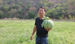 徐云吃的瓜,揭秘网络红人瓜田奇遇