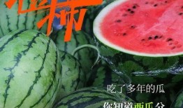 神秘星球吃瓜,探寻异域瓜果传奇