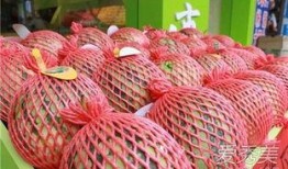 几月份可以吃麒麟瓜,几月份品尝麒麟瓜的最佳时节