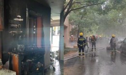 吃瓜视频观众围观,揭秘网络视频围观现象背后的社会心理