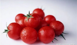 吃瓜少女山菜子,吃瓜少女的趣味生活与独特见解