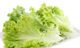 吃瓜少女山菜子,吃瓜少女的趣味生活与独特见解