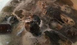 喝甲鱼汤可以吃瓜吗,搭配瓜类食材的饮食禁忌解析