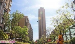 汇源首座莱芜吃瓜,吃瓜群众的夏日盛宴