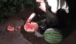 惩罚吃瓜事件,揭秘网络暴力的阴影面